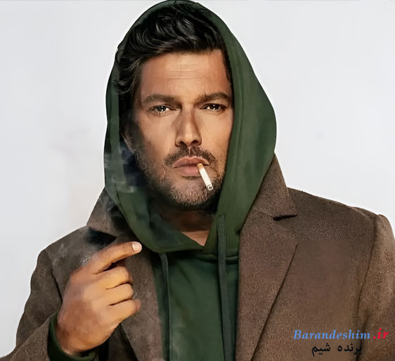 جایگاه هنر و رسانه ای حامد بهداد 